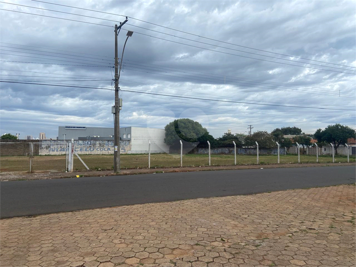 Foto REO1104557