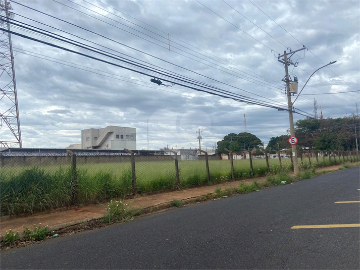 Foto REO1104557
