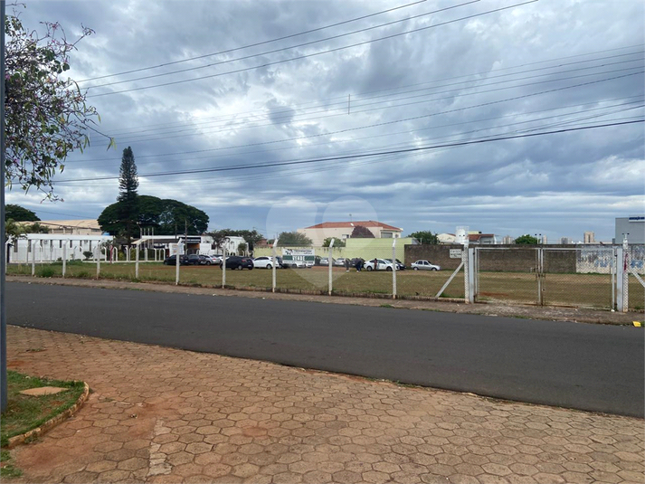 Foto REO1104557