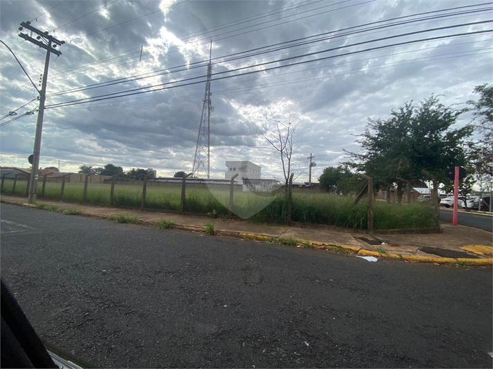 Foto REO1104557