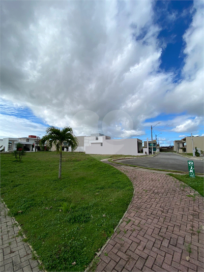 Foto REO1104563