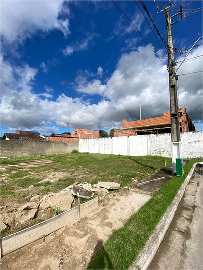 Foto REO1104563