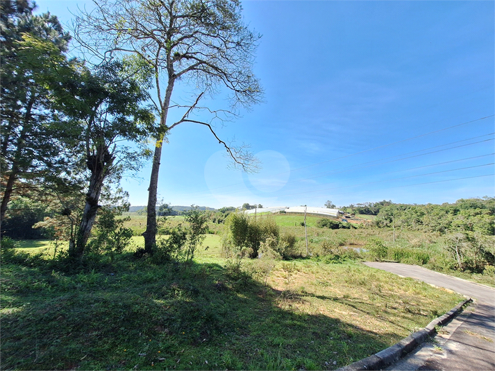 Foto REO1104567