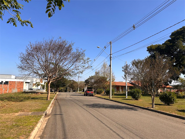 Foto REO1104568