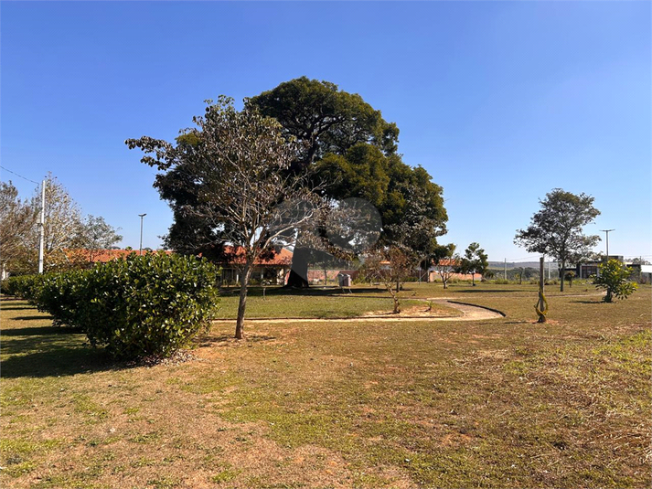 Foto REO1104568