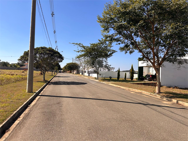 Foto REO1104568