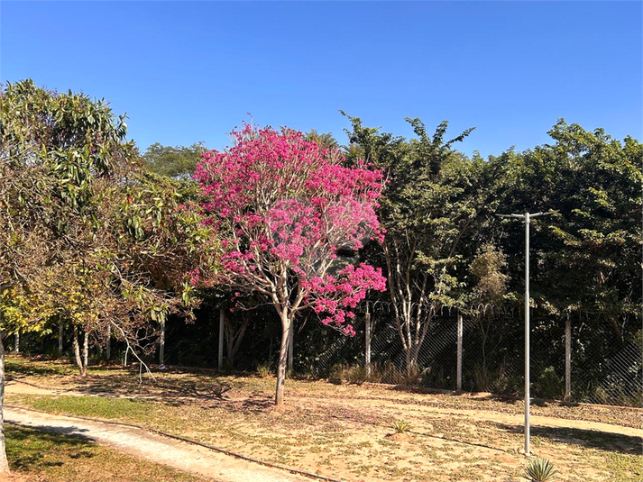 Foto REO1104568