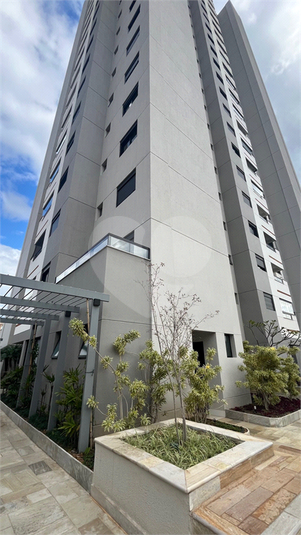 Foto REO1104571