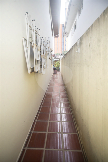 Foto REO1104592