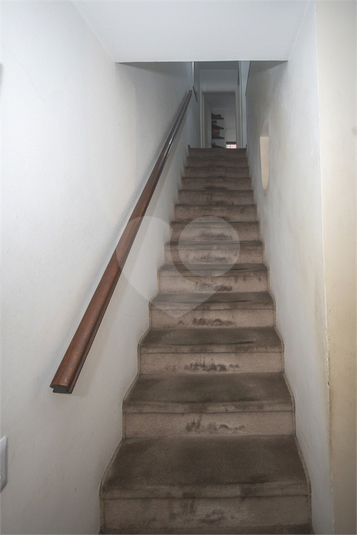 Foto REO1104592