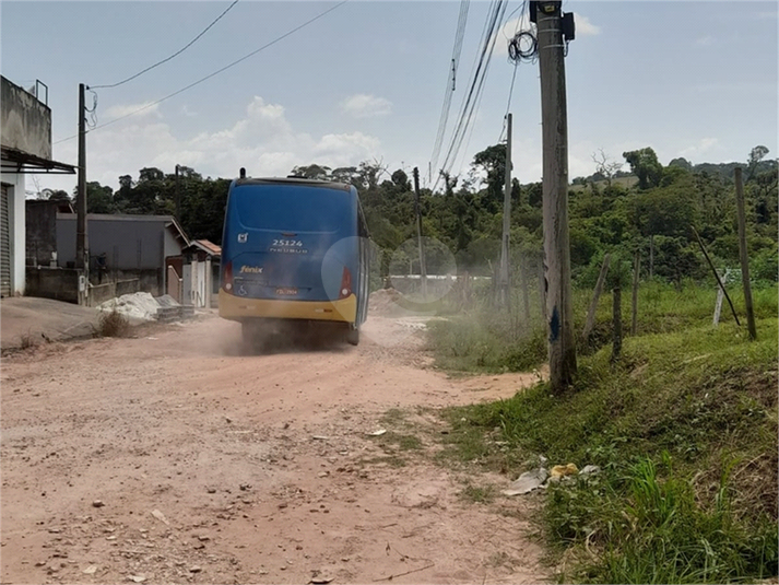 Foto REO1104594