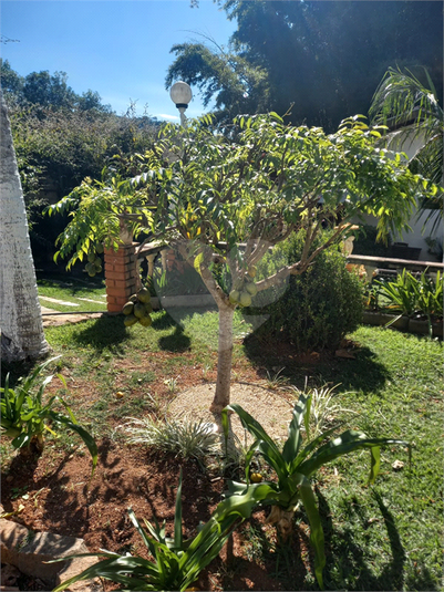 Foto REO1104618