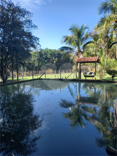 Foto REO1104618