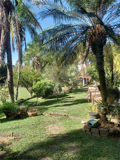 Foto REO1104618