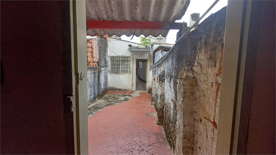 Foto REO1104659