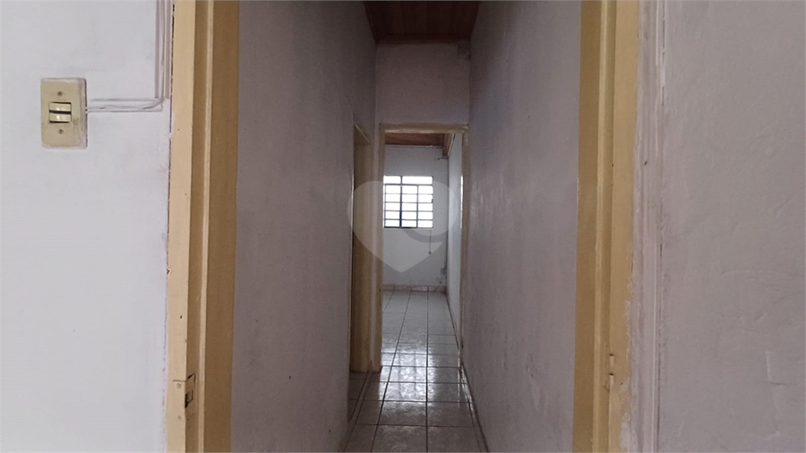 Foto REO1104659