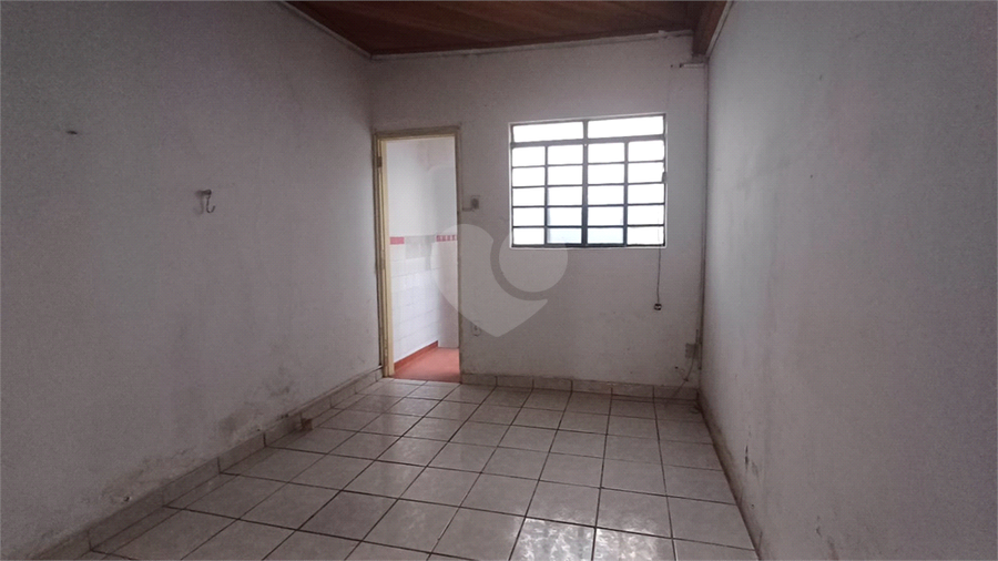 Foto REO1104659