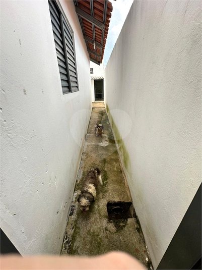 Foto REO1104663
