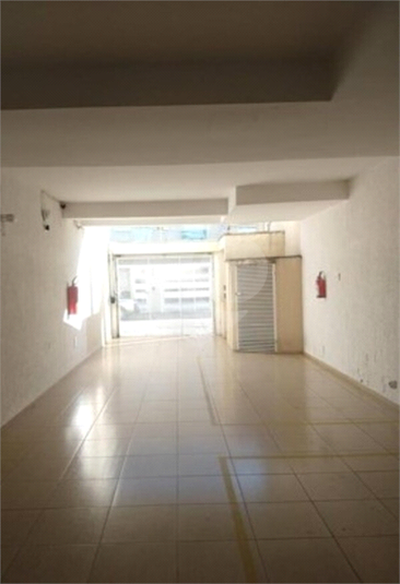 Foto REO1104664