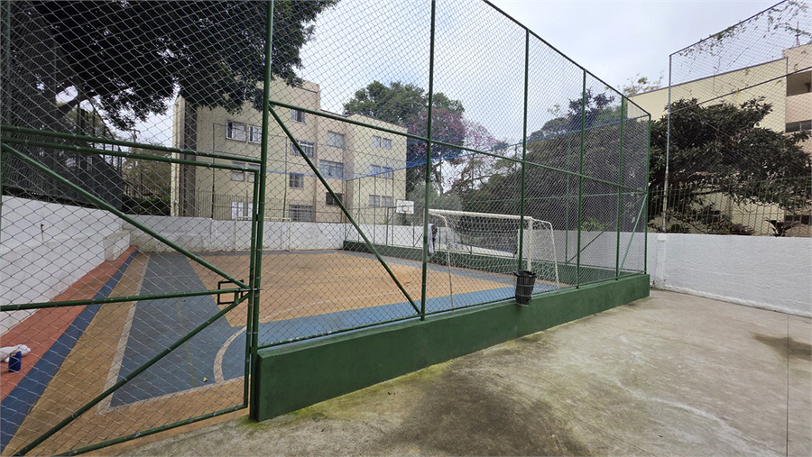 Foto REO1104665