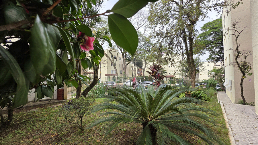 Foto REO1104665