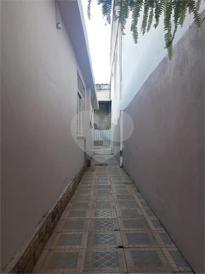 Foto REO1104668
