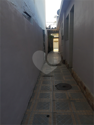 Foto REO1104668