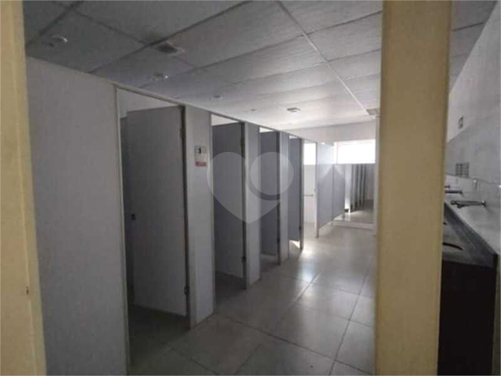 Foto REO1104684