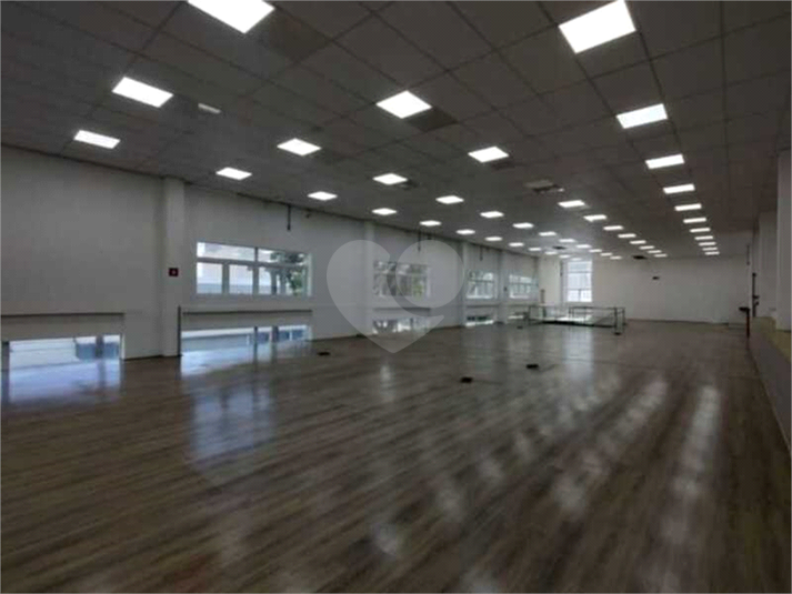 Foto REO1104684