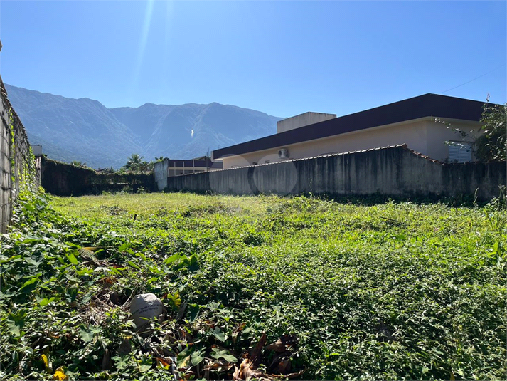 Foto REO1104694