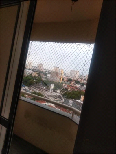 Foto REO1104698