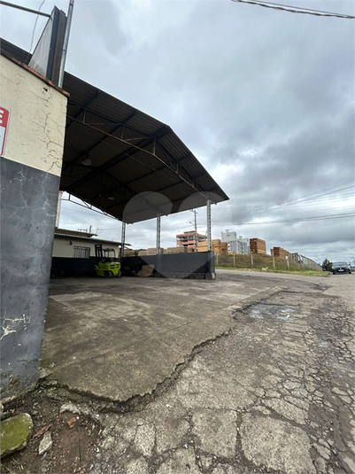 Foto REO1104721