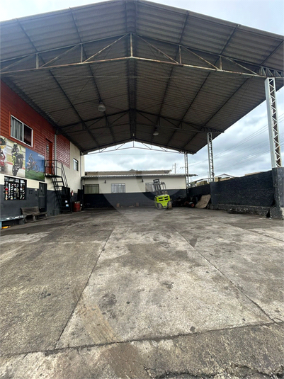 Foto REO1104721
