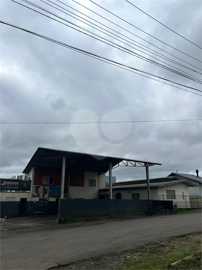 Foto REO1104721