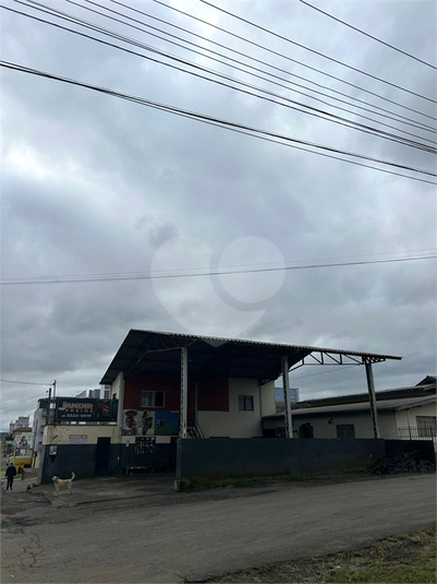 Foto REO1104721