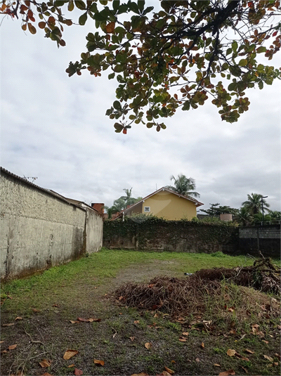 Foto REO1104725
