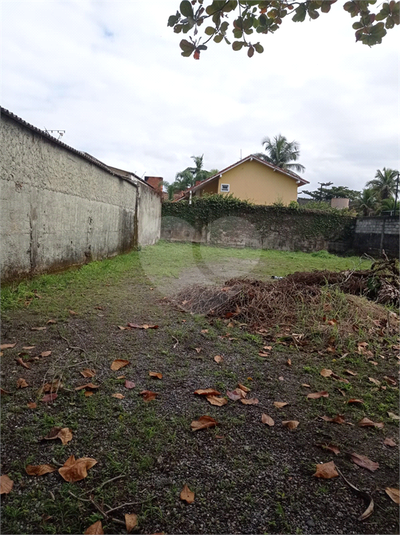 Foto REO1104725