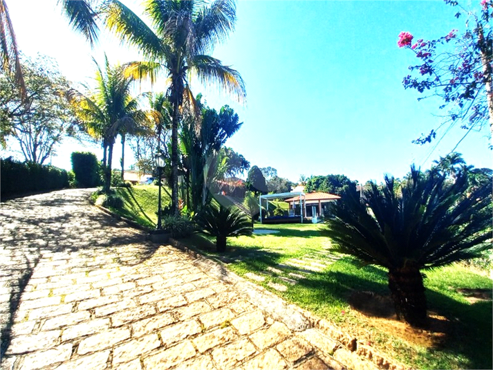 Foto REO1104726