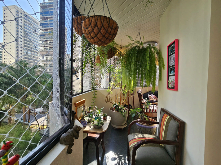 Foto REO1104727