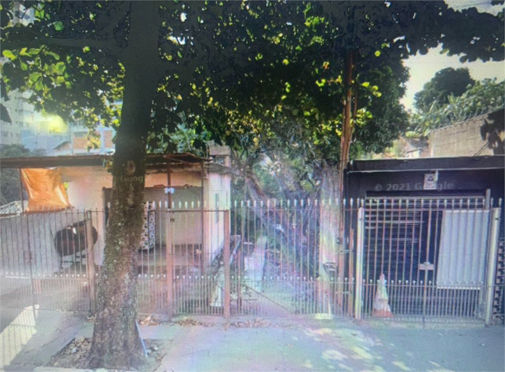 Foto REO1104729