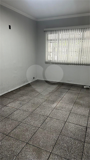 Foto REO1104744
