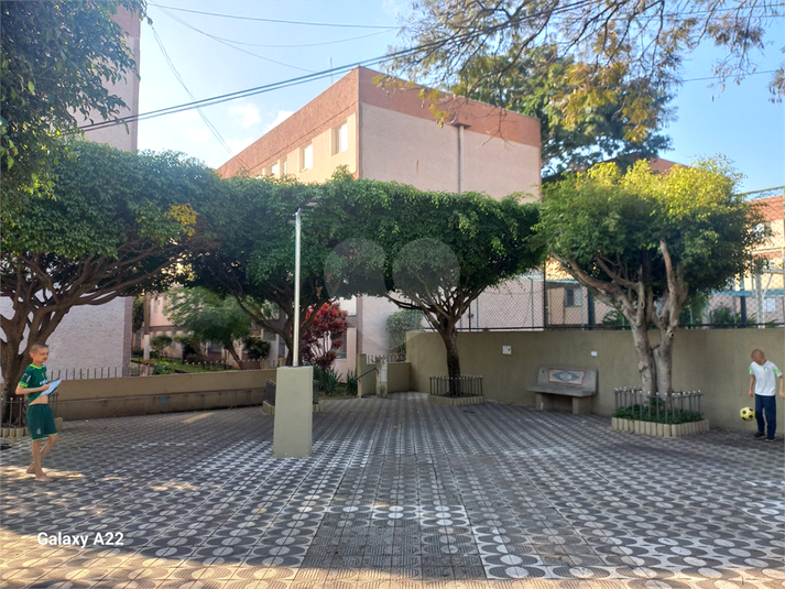 Foto REO1104749