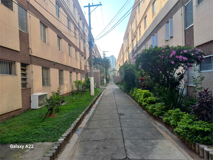 Foto REO1104749