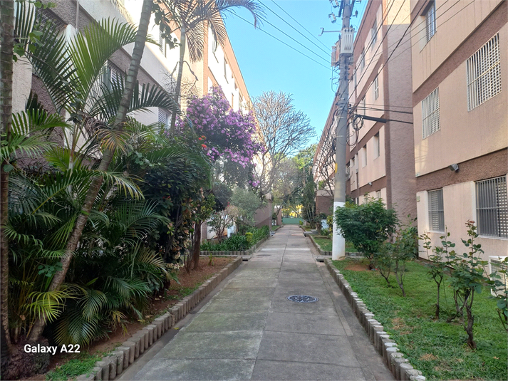 Foto REO1104749