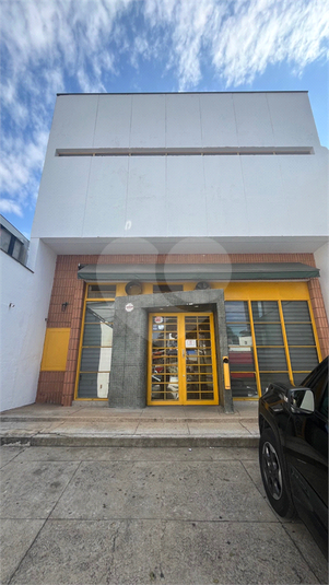 Foto REO1104756