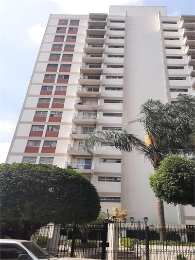 Foto REO1104768