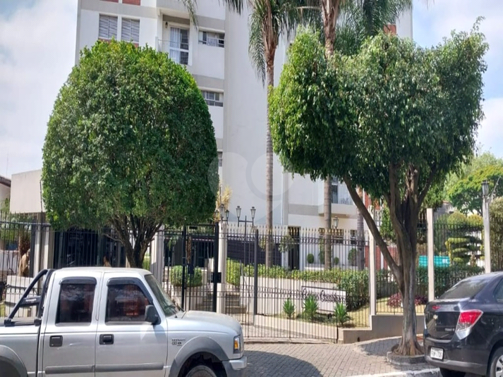 Foto REO1104768