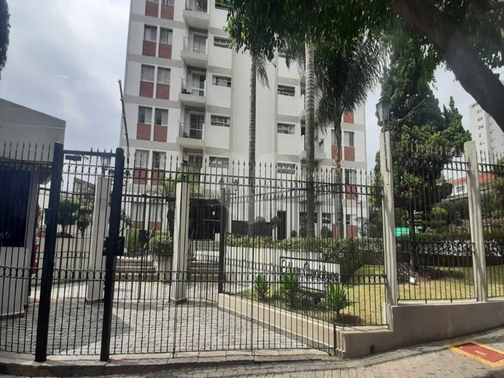 Foto REO1104768