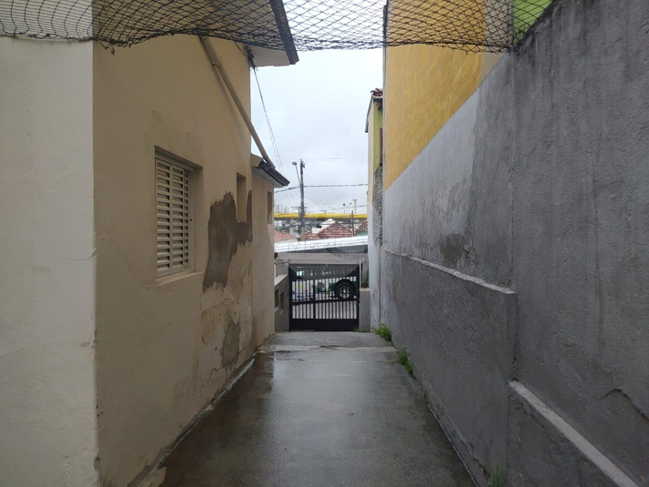 Foto REO1104772