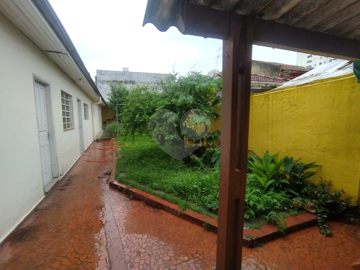 Foto REO1104772